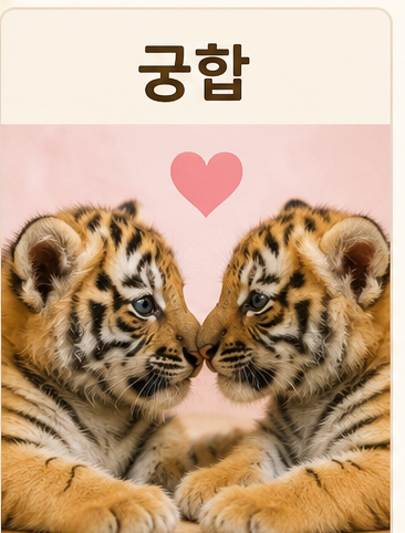 궁합